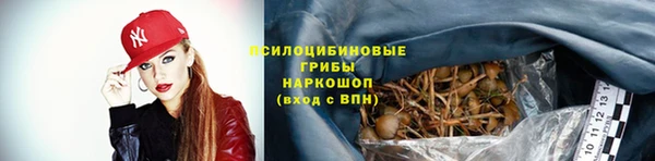 PSILOCYBIN Абдулино